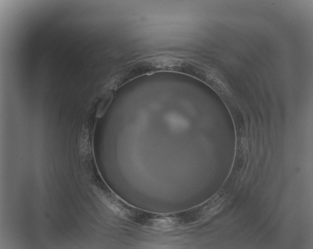 X0000072520411200607211428