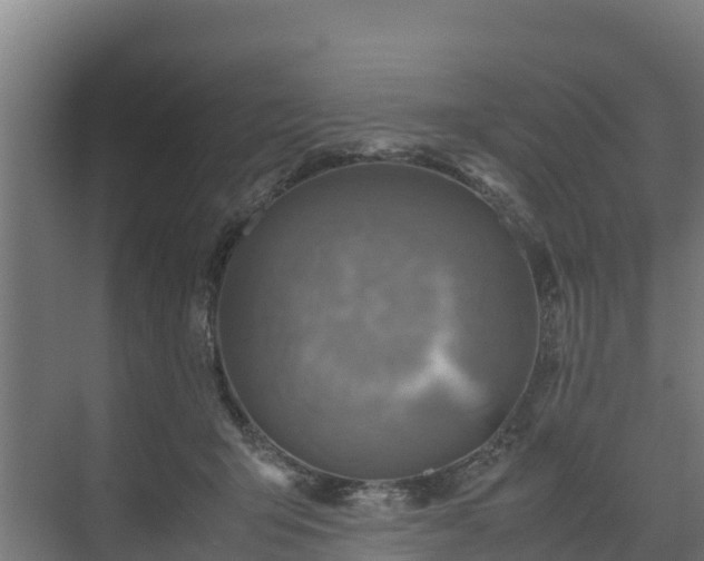 X0000072520415200607211428