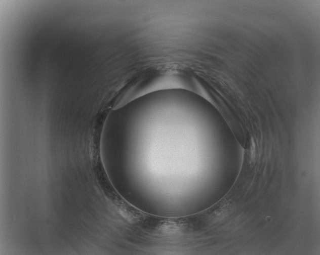 X0000072520416200607211428