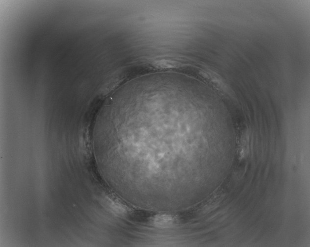 X0000072520418200607211428