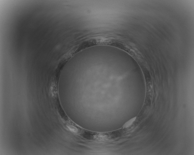 X0000072520419200607211428