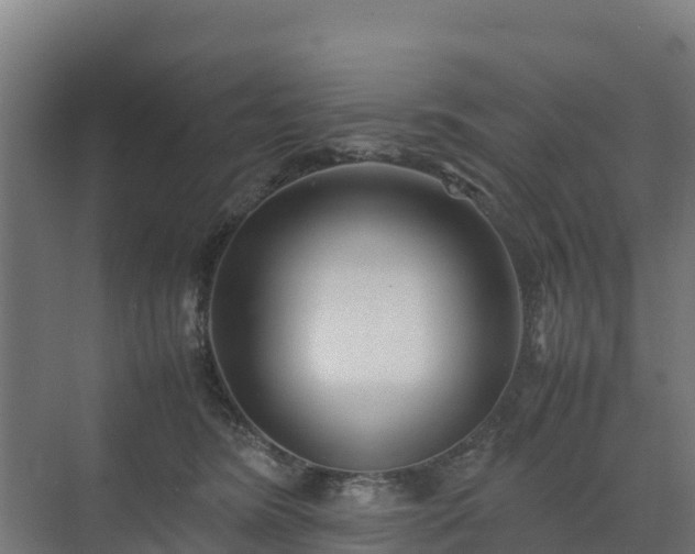 X0000072520420200607211428