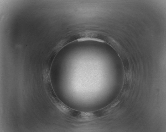 X0000072520429200607211428