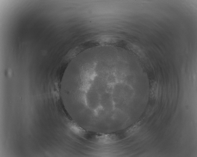 X0000072520430200607211428