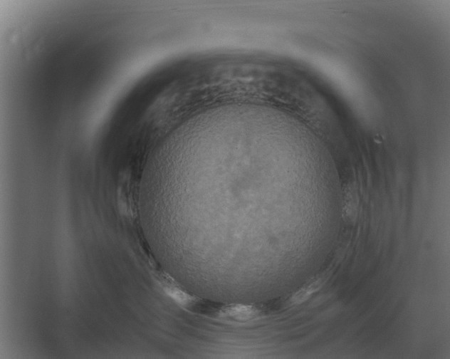 X0000072520431200607211428