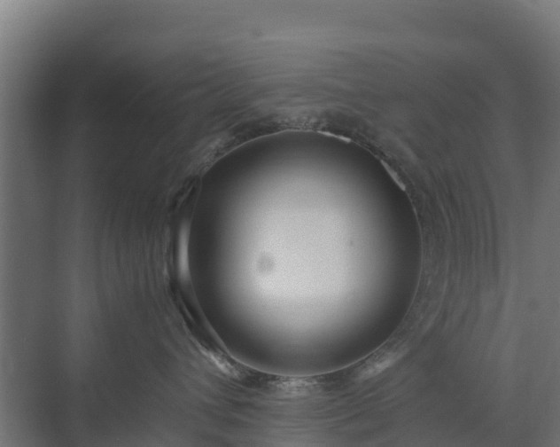 X0000072520432200607211428