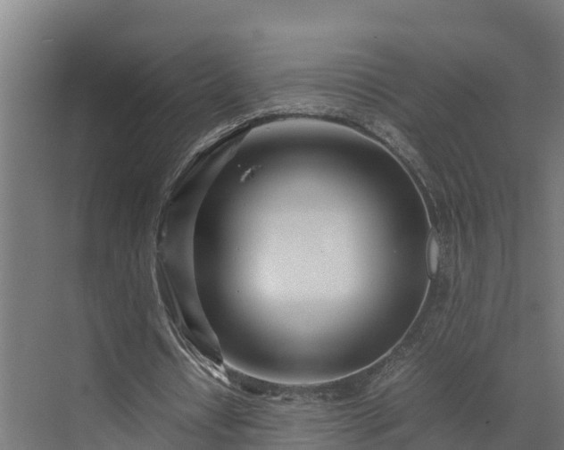 X0000072520434200607211427