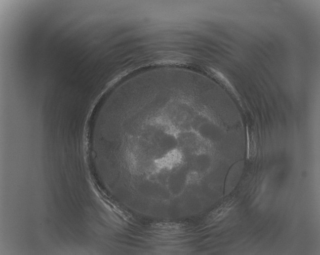 X0000072520435200607211427