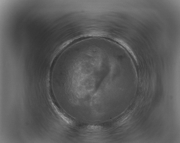 X0000072520437200607211427