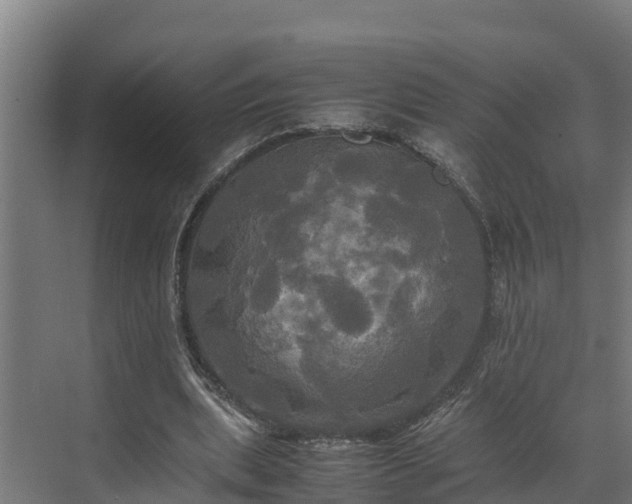 X0000072520439200607211427