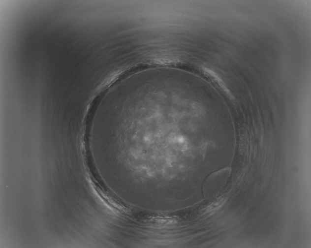 X0000072520443200607211427