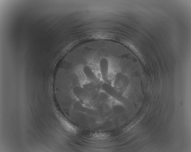 X0000072520445200607211427