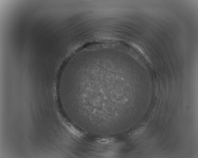 X0000072520447200607211427