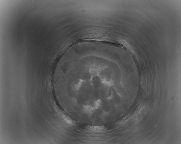 X0000072520449200607211428