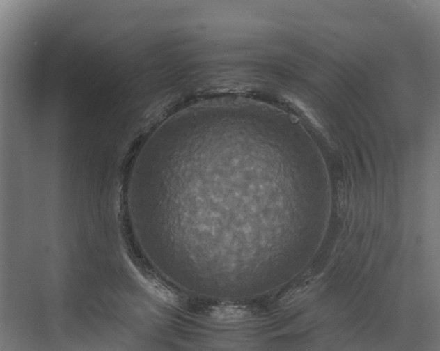 X0000072520451200607211428