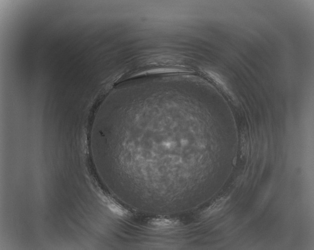 X0000072520453200607211428