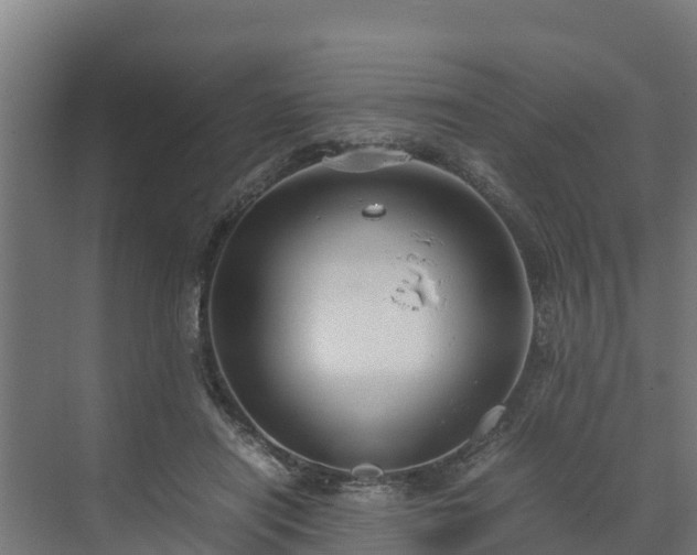 X0000072520454200607211428