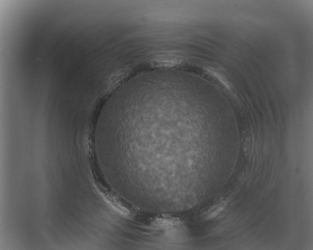 X0000072520455200607211428