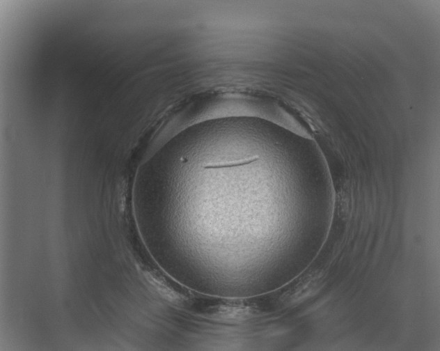 X0000072520458200607211428