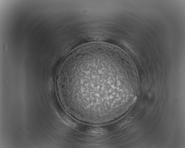 X0000072520459200607211428