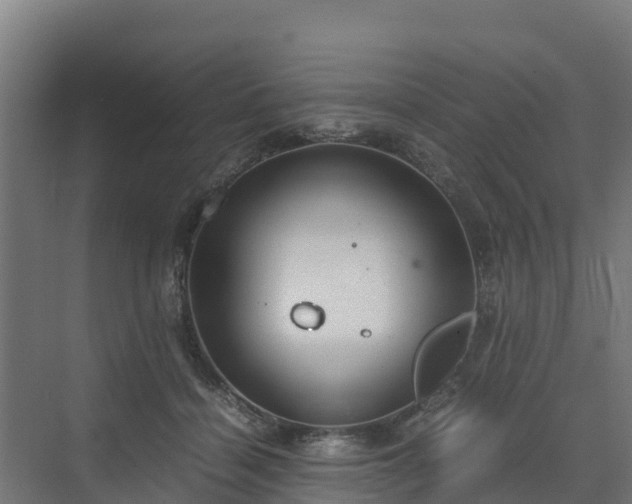 X0000072520460200607211428