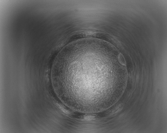 X0000072520462200607211428