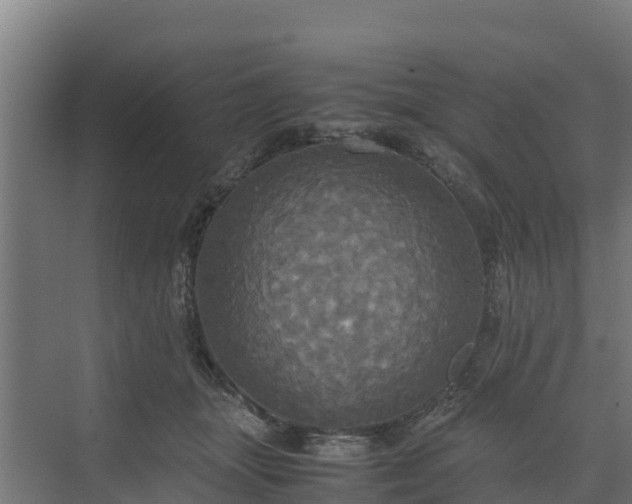 X0000072520463200607211428