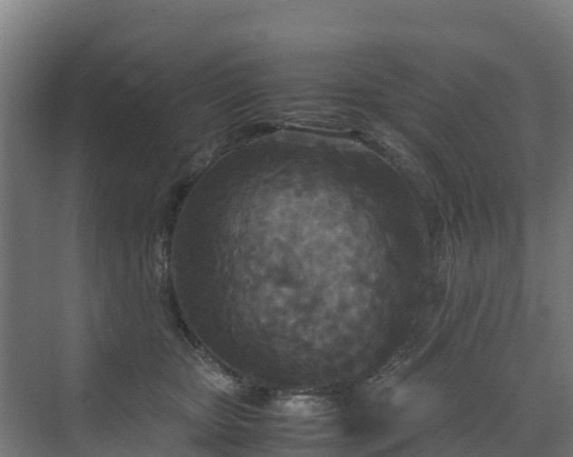 X0000072520467200607211428