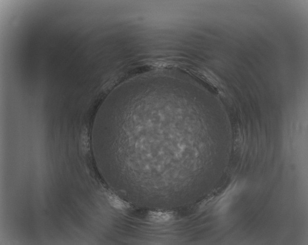 X0000072520469200607211428