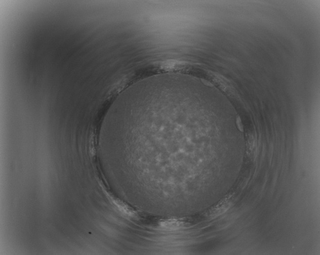 X0000072520470200607211428