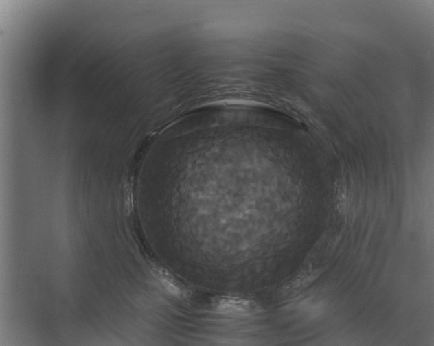 X0000072520471200607211428