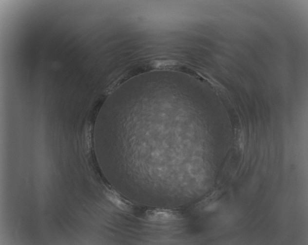 X0000072520475200607211428