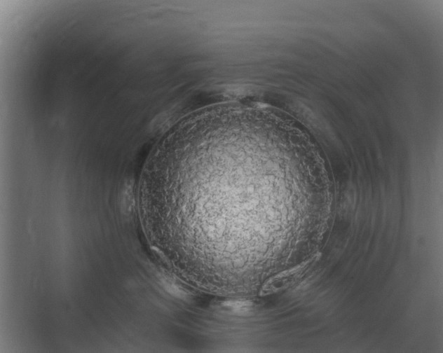 X0000072520478200607211428