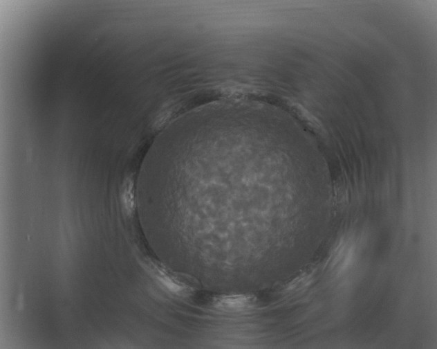 X0000072520479200607211428