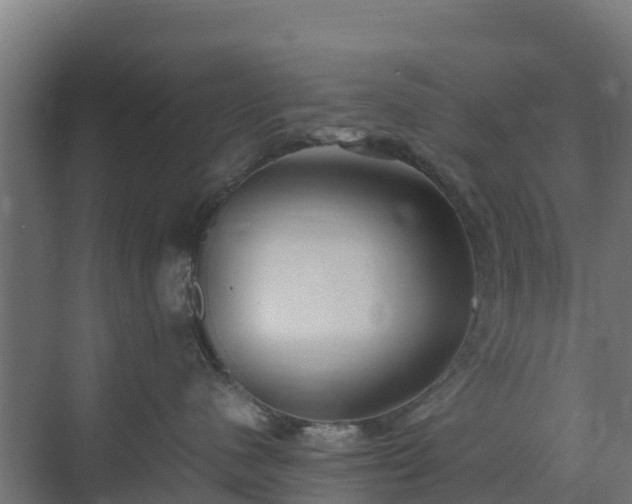 X0000072520480200607211428