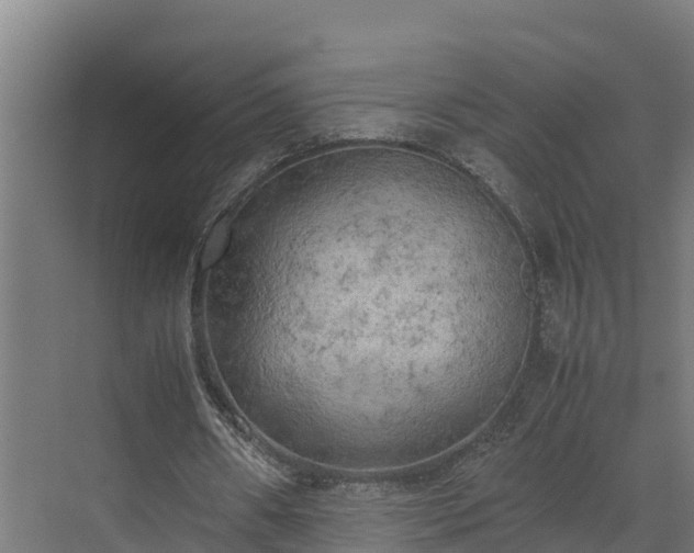 X0000072520482200607211427