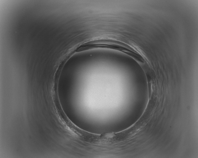 X0000072520485200607211427