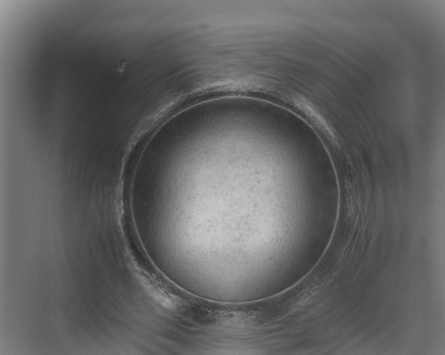 X0000072520486200607211427