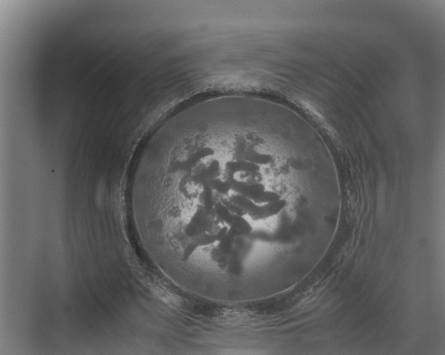 X0000072520487200607211427