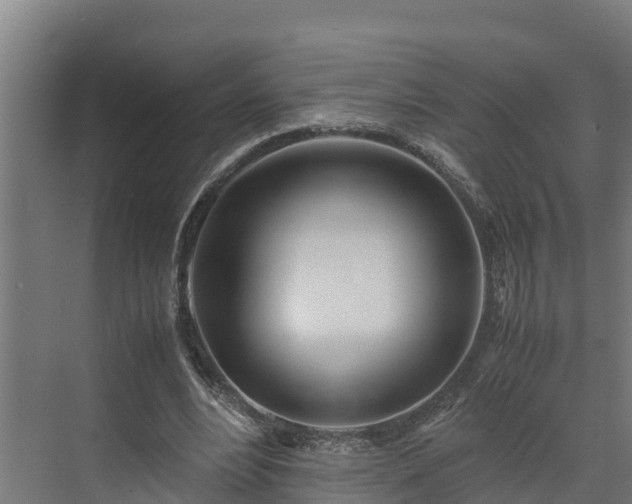 X0000072520488200607211427