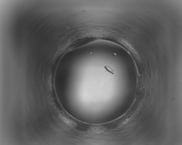 X0000072520489200607211427