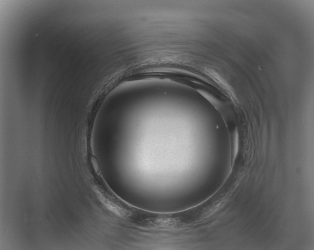 X0000072520493200607211427