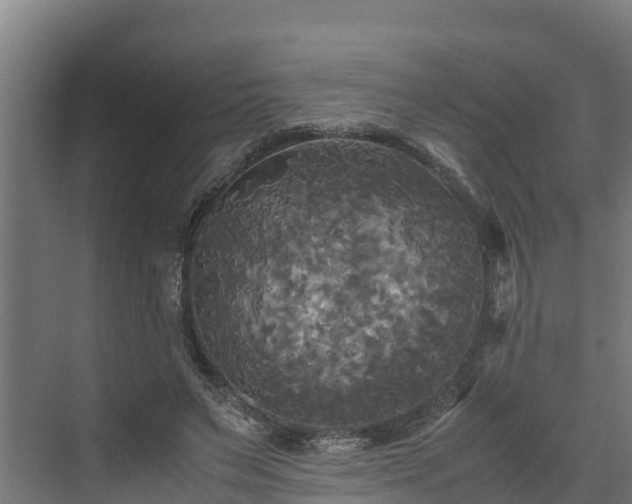 X0000072520495200607211427