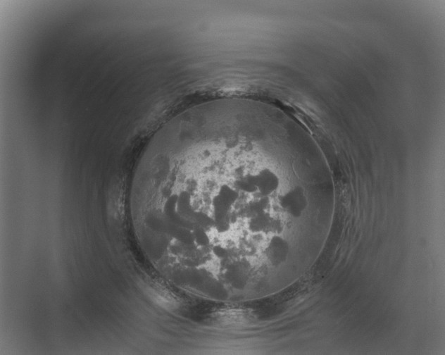 X0000072520499200607211427