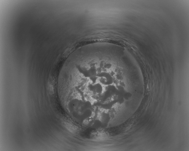 X0000072520503200607211427