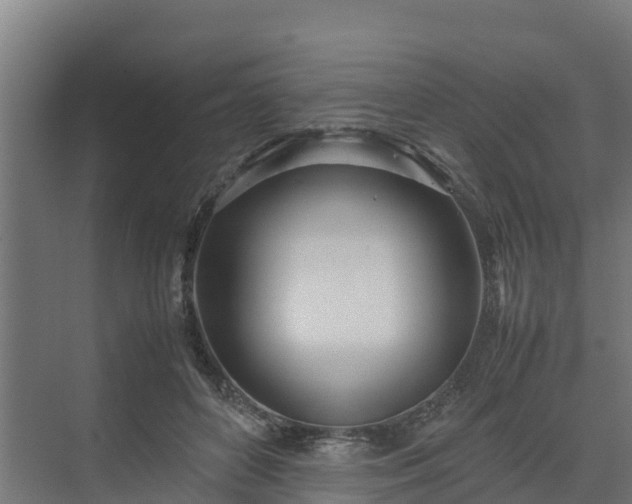 X0000072520504200607211427