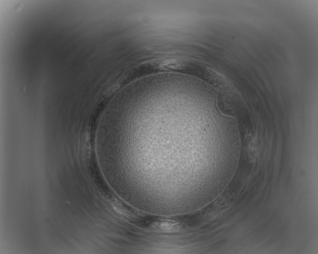 X0000072520506200607211427