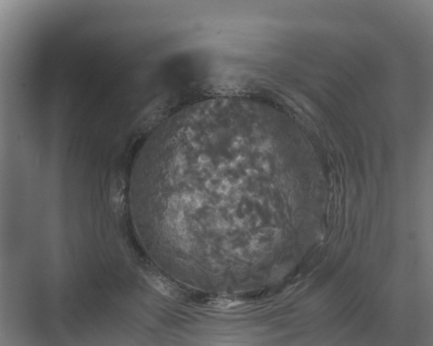 X0000072520507200607211427