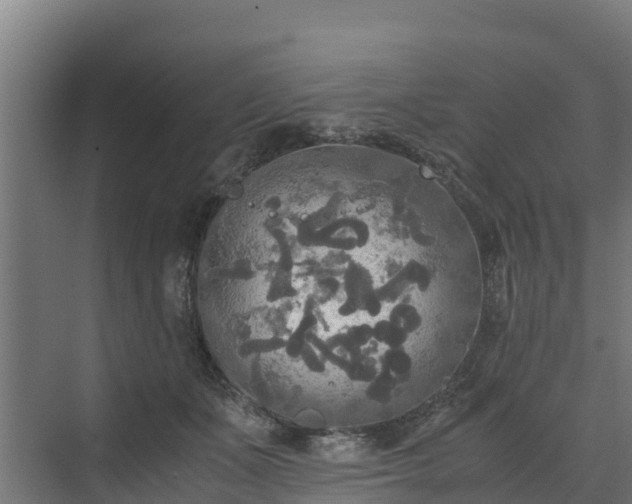 X0000072520511200607211427