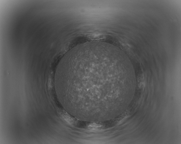 X0000072520515200607211427